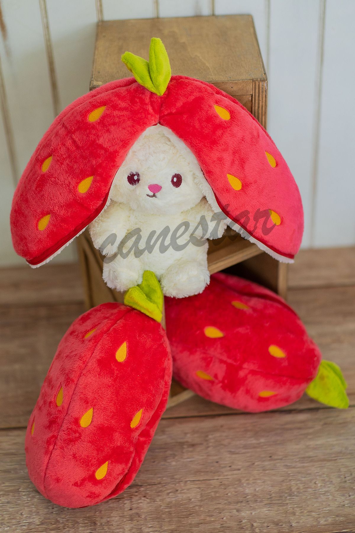 Canestar-Special Gift for Lover Strawberry Rabbit Special Design - Both Strawberry and Rabbit with Zippered Structure 6