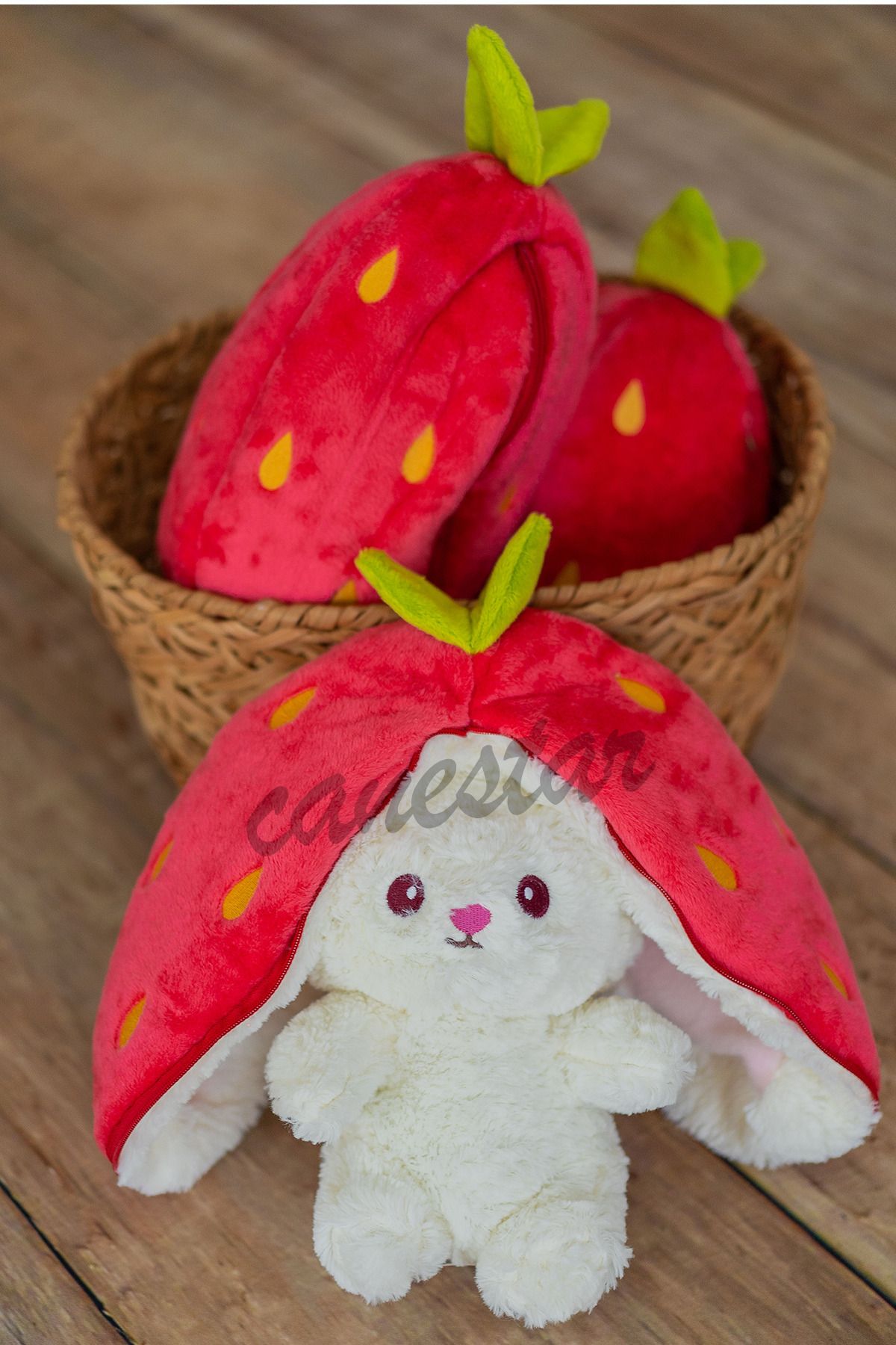 Canestar-Special Gift for Lover Strawberry Rabbit Special Design - Both Strawberry and Rabbit with Zippered Structure 4