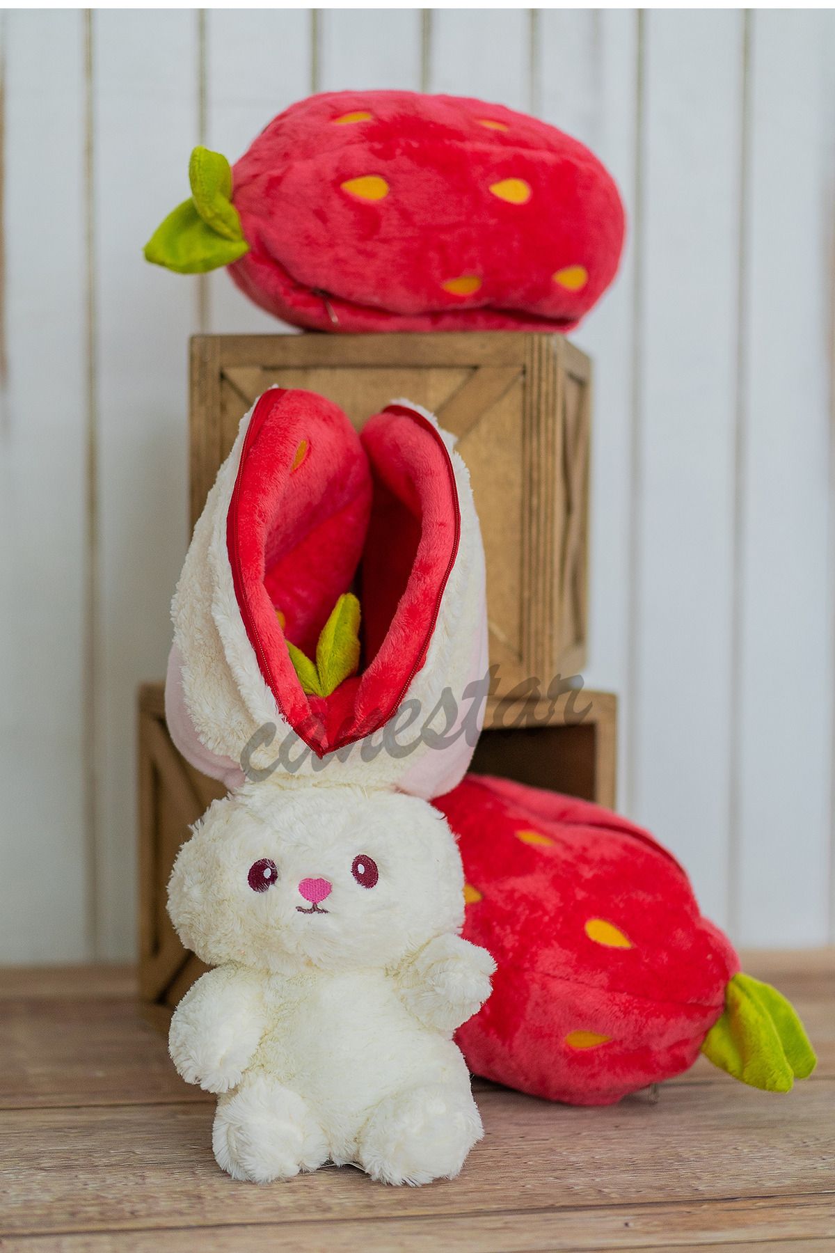 Canestar-Special Gift for Lover Strawberry Rabbit Special Design - Both Strawberry and Rabbit with Zippered Structure 5