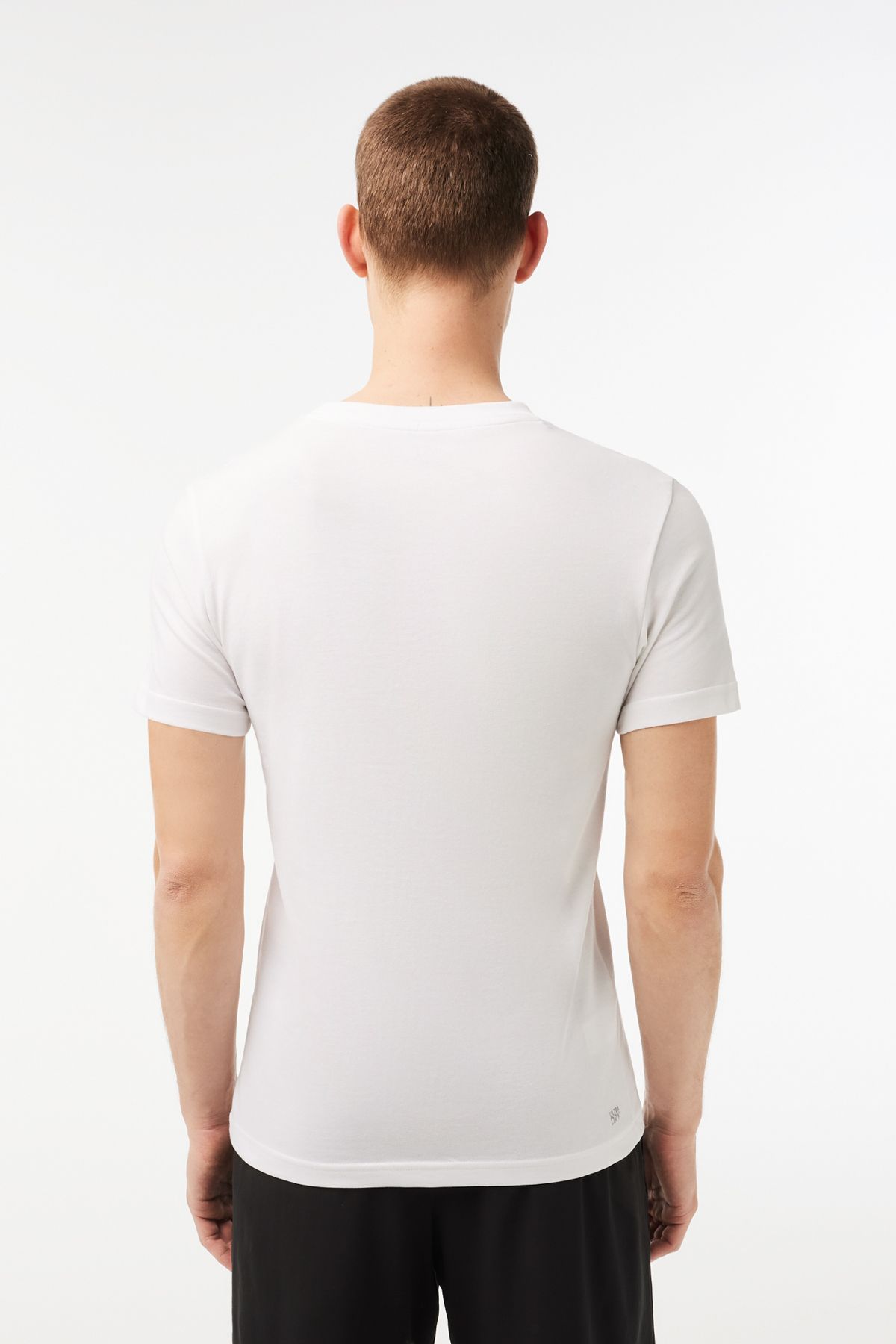 Lacoste Weiß/Grün-737 T-Shirt für Herren Trendyol 