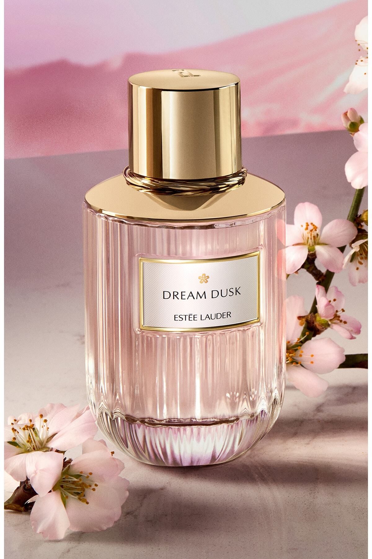 Estee Lauder Dream Dusk - ادوپرفیوم 100 ml عطر زنانه مجموعه عطرهای لوکس
