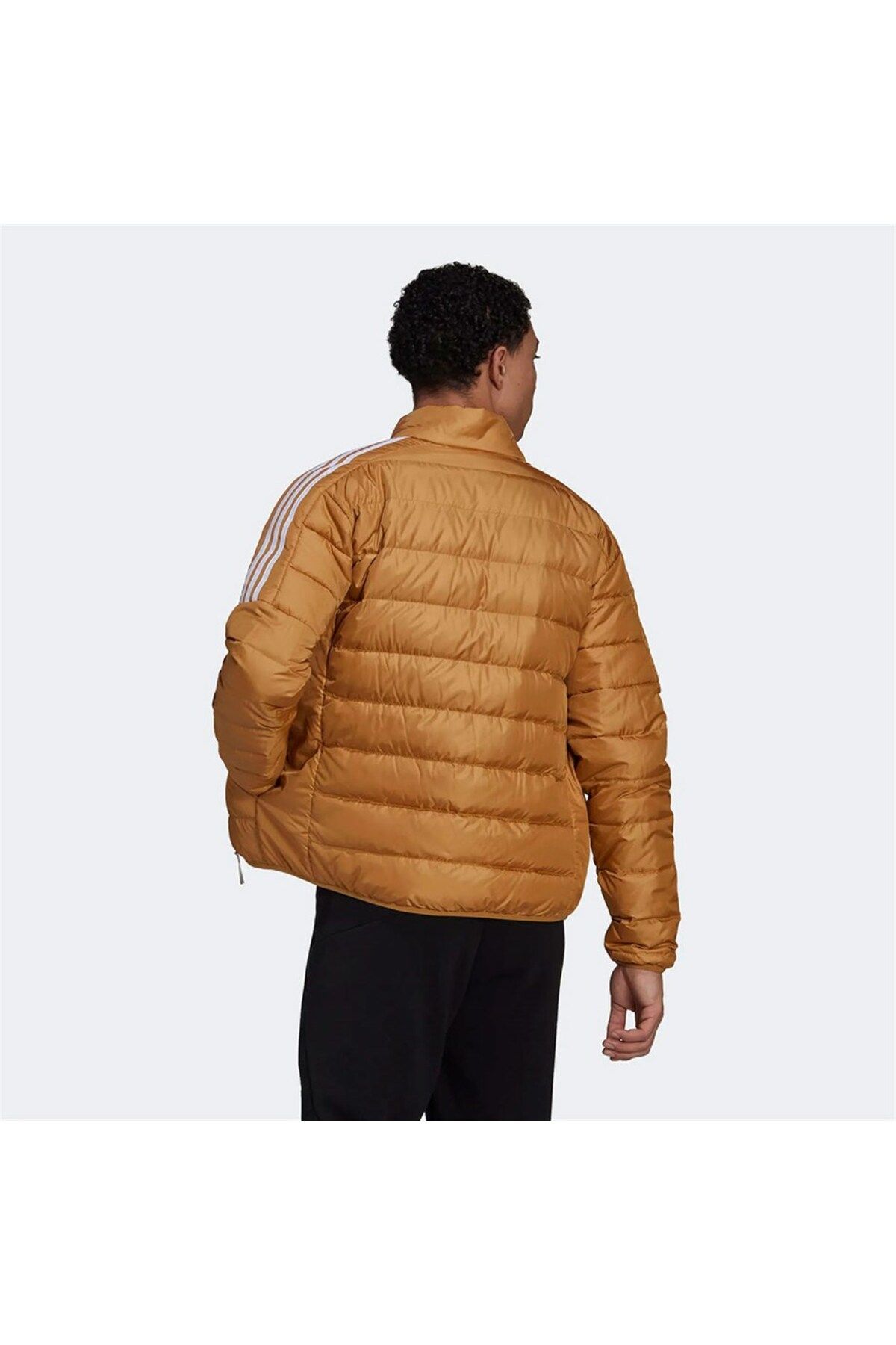 Adidas shop mesa jacket