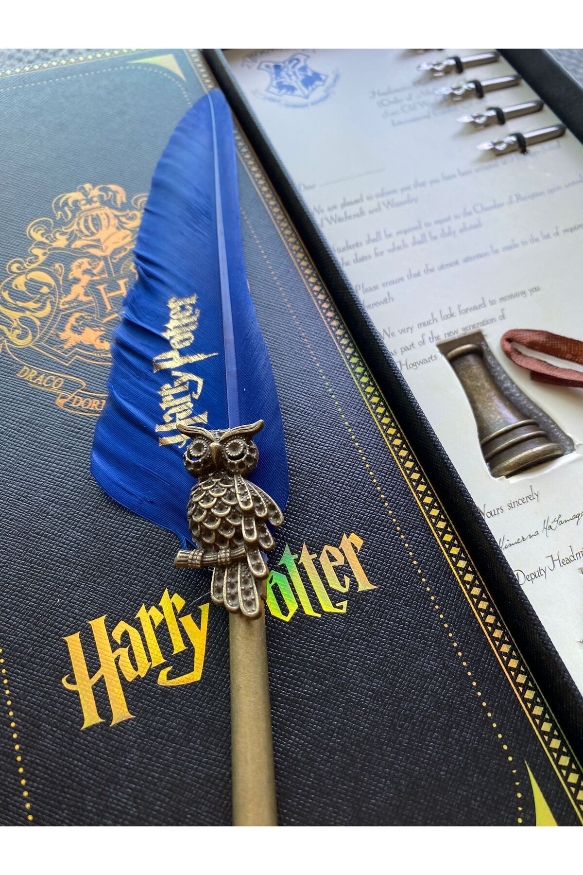 Plaquinha Decorativa Trio Harry Potter Feitiços Palavras Mágicas  Personalizado