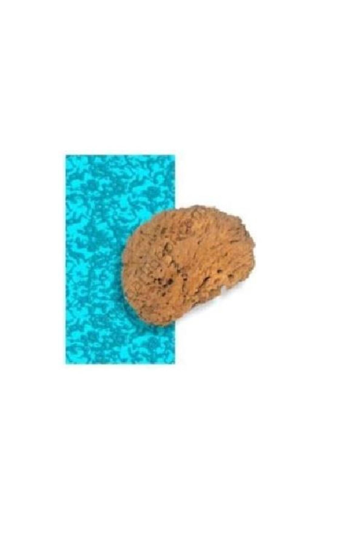 Dekor Doğal Deniz Süngeri Kod:1474