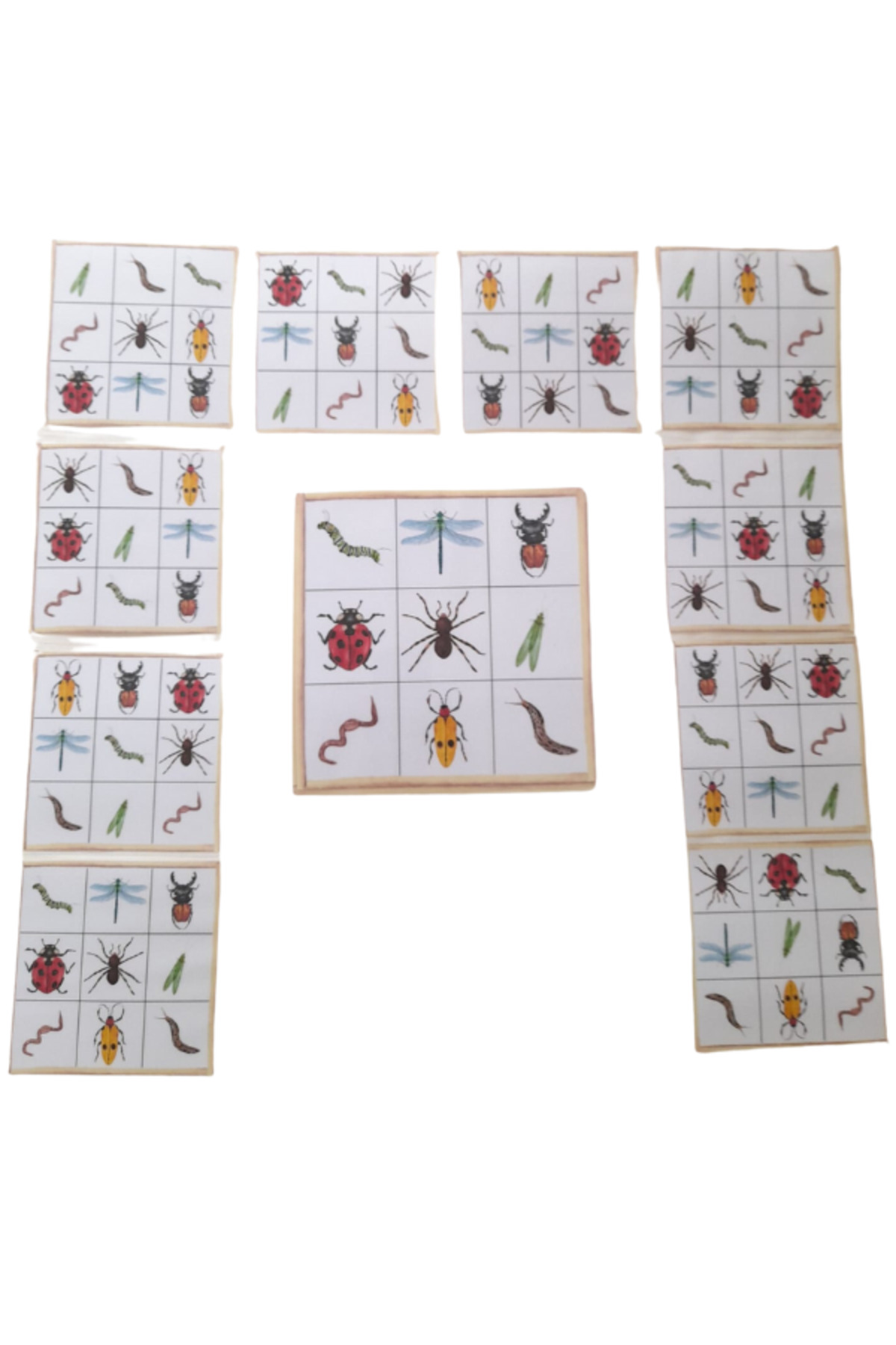 Ada Montessori Böcek Kartları ile Eğlenceli Oyun fotoğrafı 3 (önizleme)