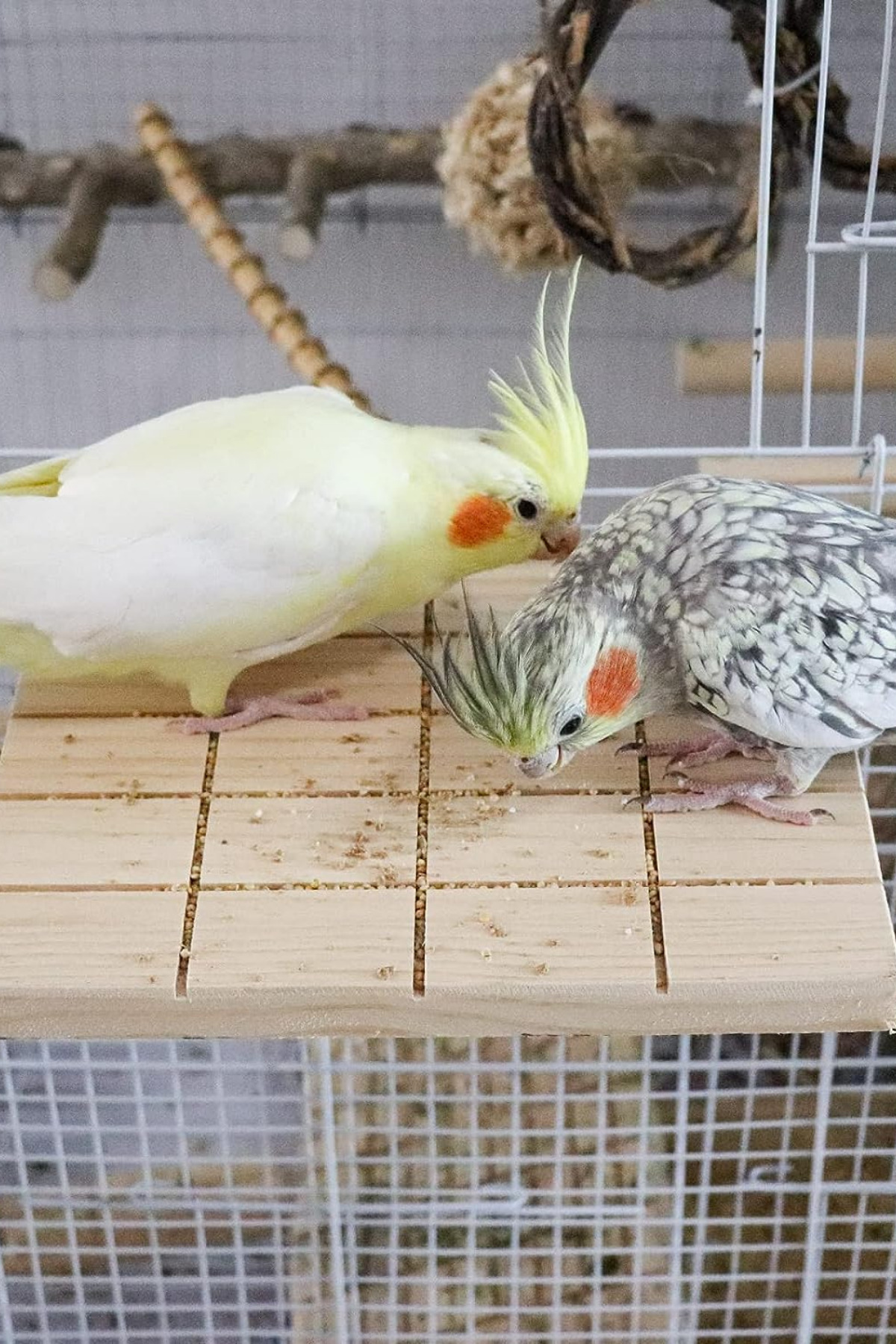 Alyones Doğal Ahşap Kuş Kafesi Standı - Tünek Platformu ve Oyuncak Aksesuarları