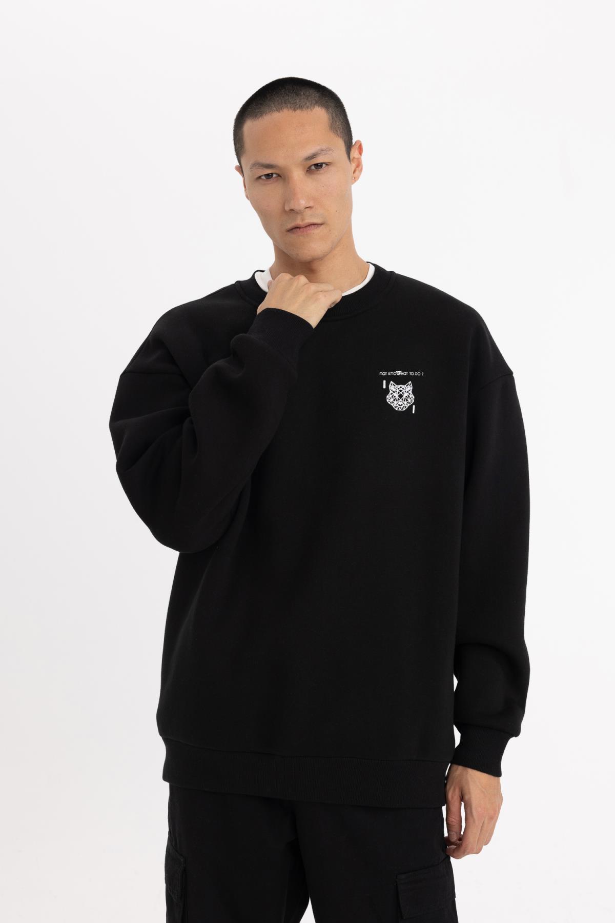 سویشرت مردانه دفاکتو | B8122AX23CW Defacto - Image 3