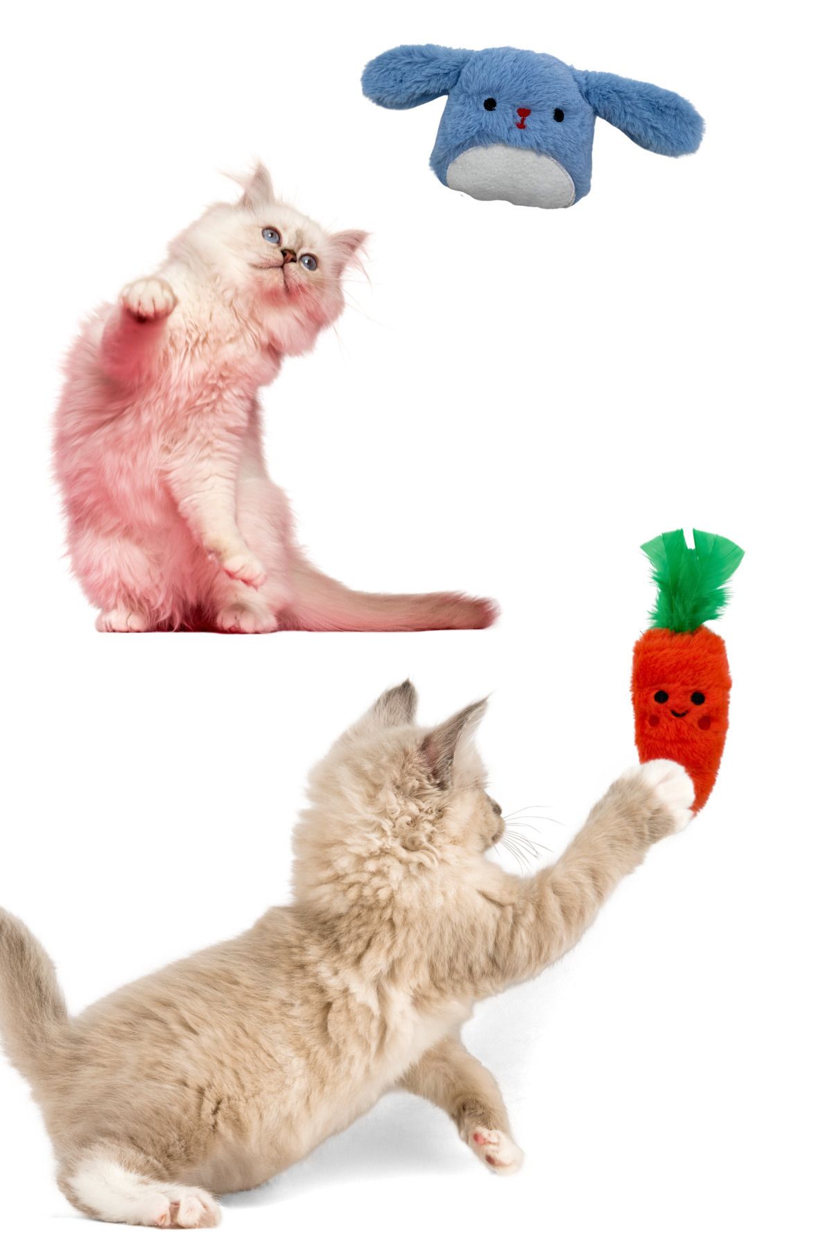Miyav Kediler İçin Hışırtı Sesi Çıkaran Peluş Tavşan ve Havuç Oyuncak Seti 2 Adet Peluş Kedi Oyuncağı