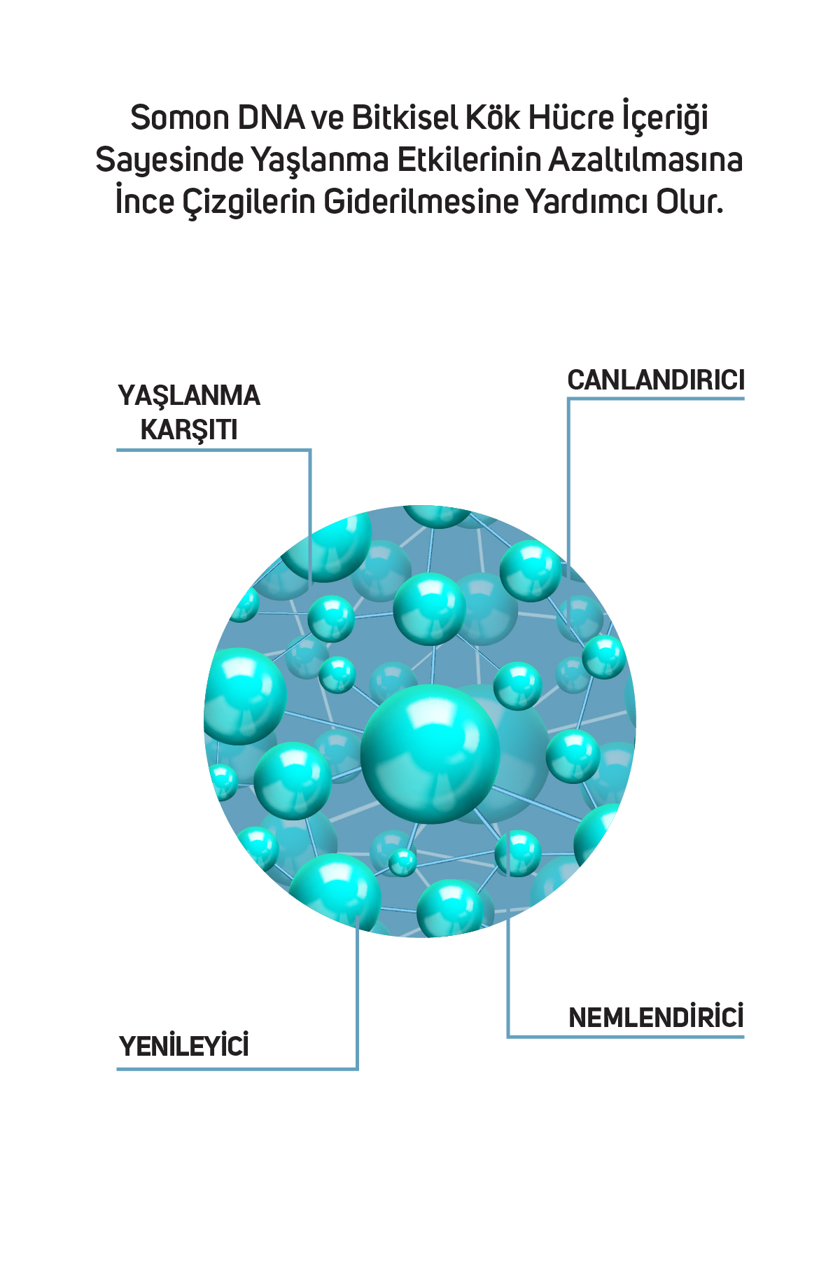 سرم پوست   Cliniclab | 8.68321E+12 اورجینال - تصویر 4