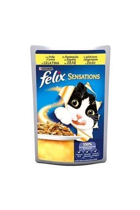 appetite kitten tavuklu yavru kedi