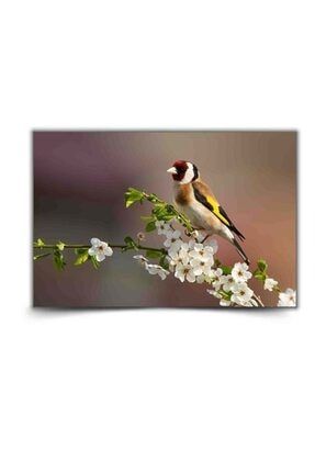 Saka Kuşu Ve Erik Çiçeği Görselli Kanvas Tablo (45x72 Cm) -TB002