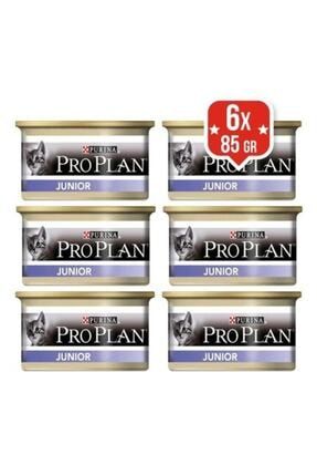 proplan junior konserve kedi mamasi