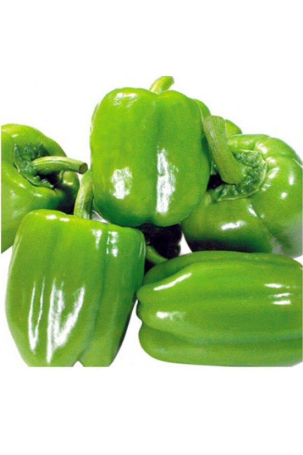 Перец Долма Купить Семена