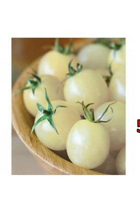 Saksılık Beyaz Cherry Domates Tohumu 9145383787481