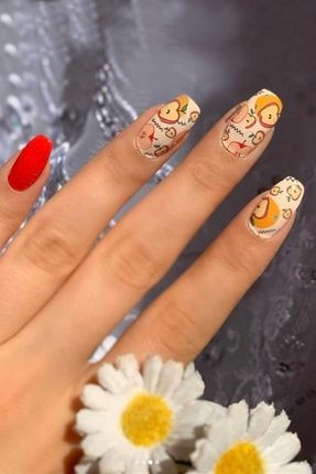 new obsessions shell tirnak gecici