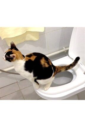 Citi Kitty Kedi Tuvalet Eğitim Seti CİTİ