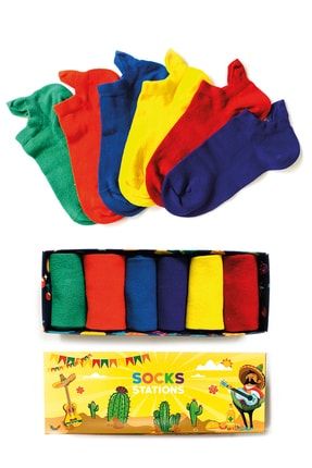 Pastel Renkler Patik Çorap Kutusu 6'lı PstlPatik