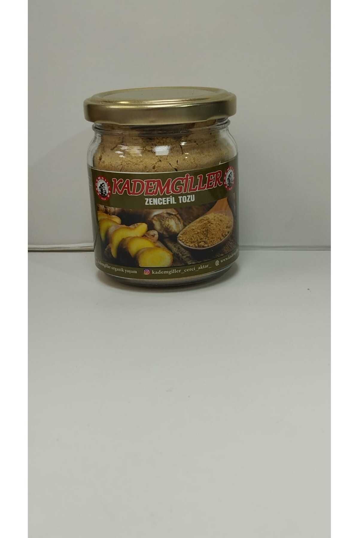 Zencefil Tozu 100gr