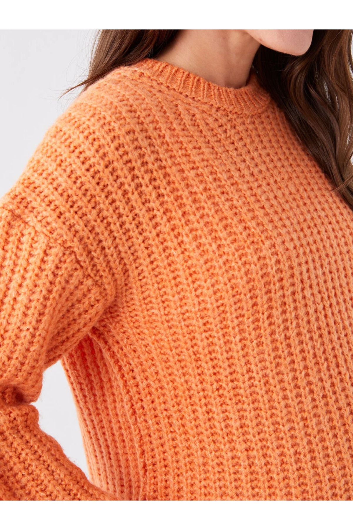 LC Waikiki-LCWAIKIKI Maternity Crew Neck Plain Long Sleeve Maternity Knitwear Sweater 4