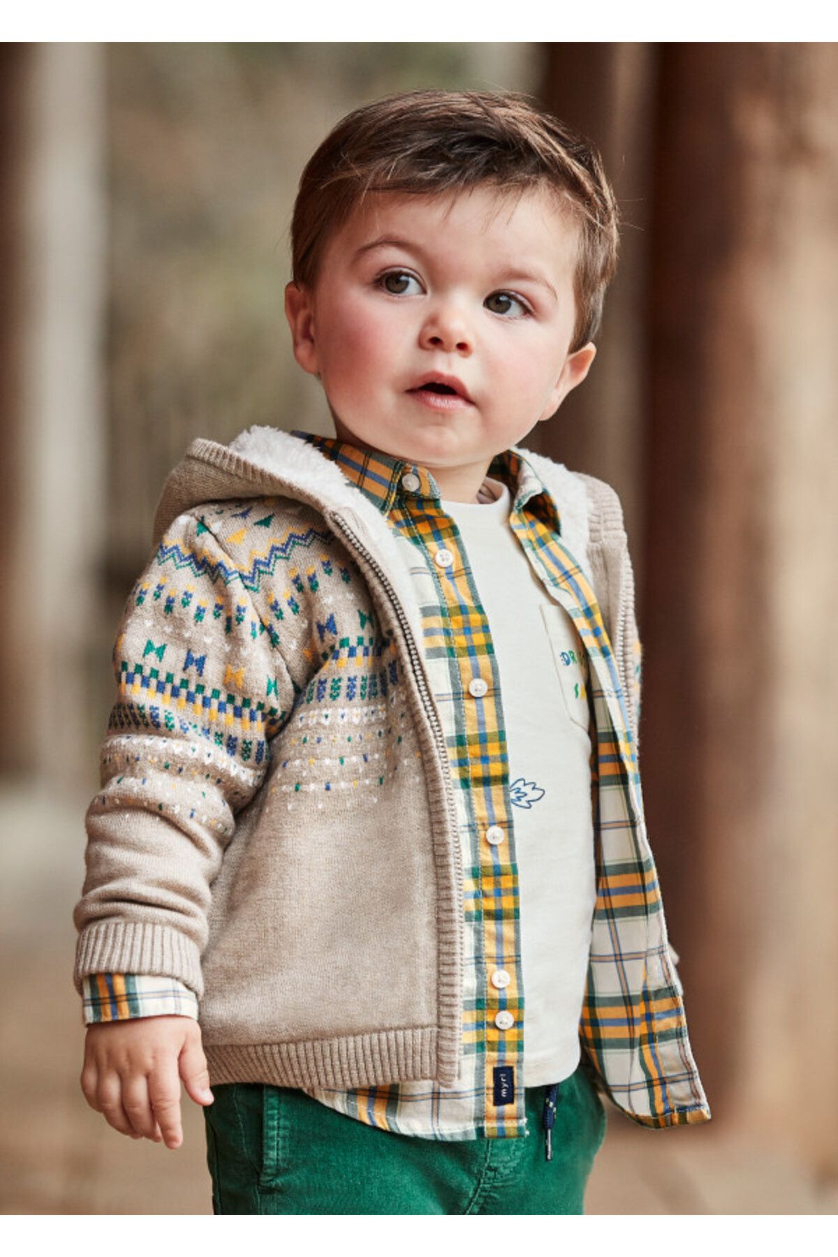 Cardigan mayoral 2025