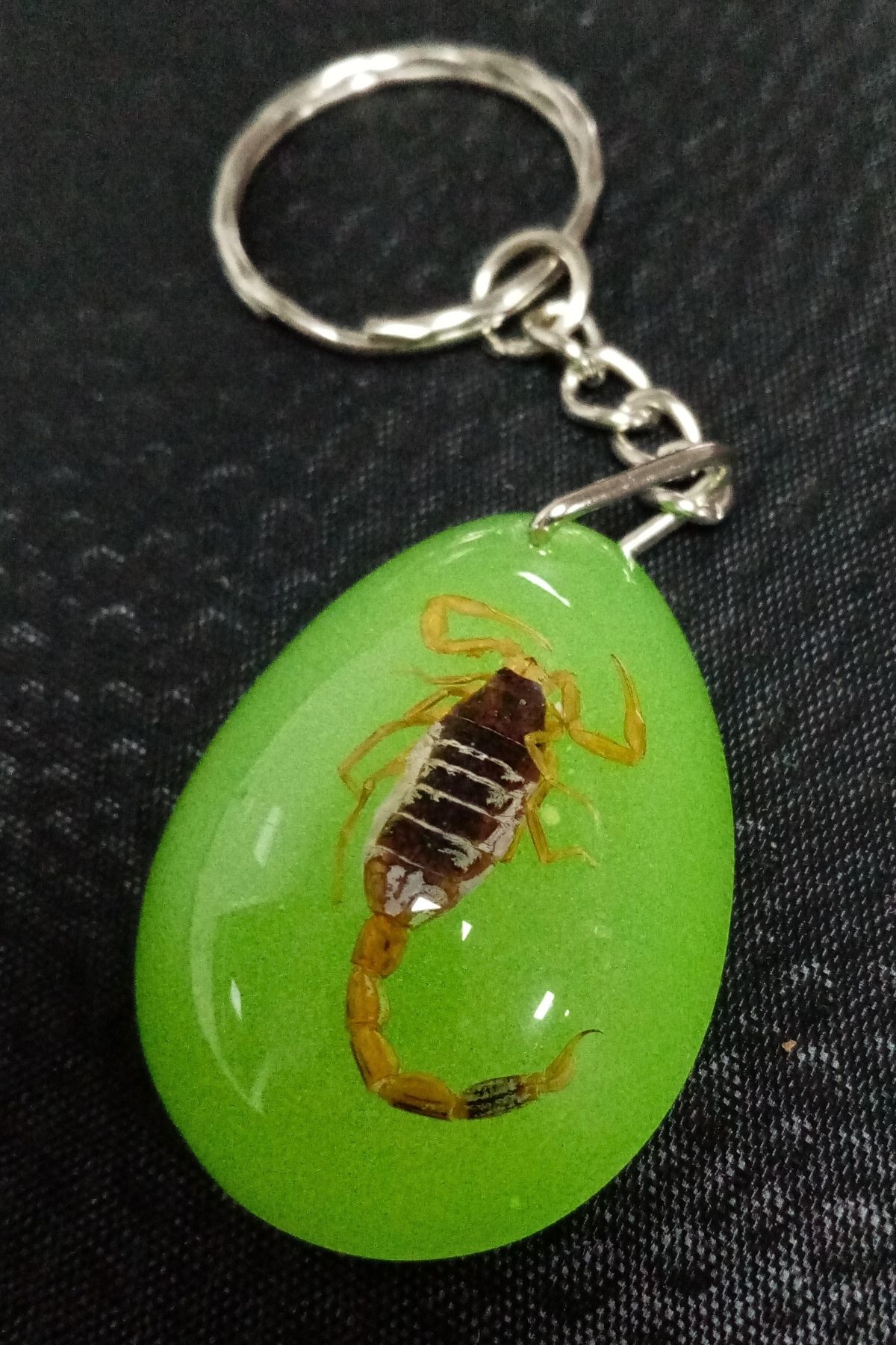 Dünyadan Hediyeler-Fossil Scorpion Keychain Green Drop Resin Inside 3