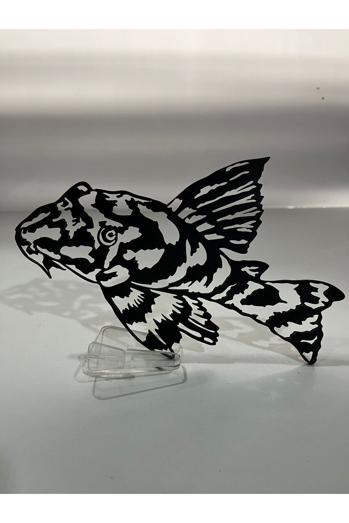 çikolatalı zebra vatoz