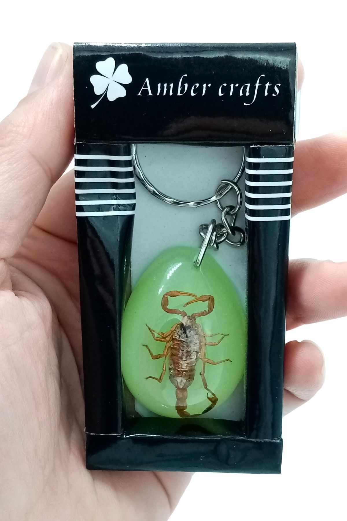 Dünyadan Hediyeler-Fossil Scorpion Keychain Green Drop Resin Inside 4