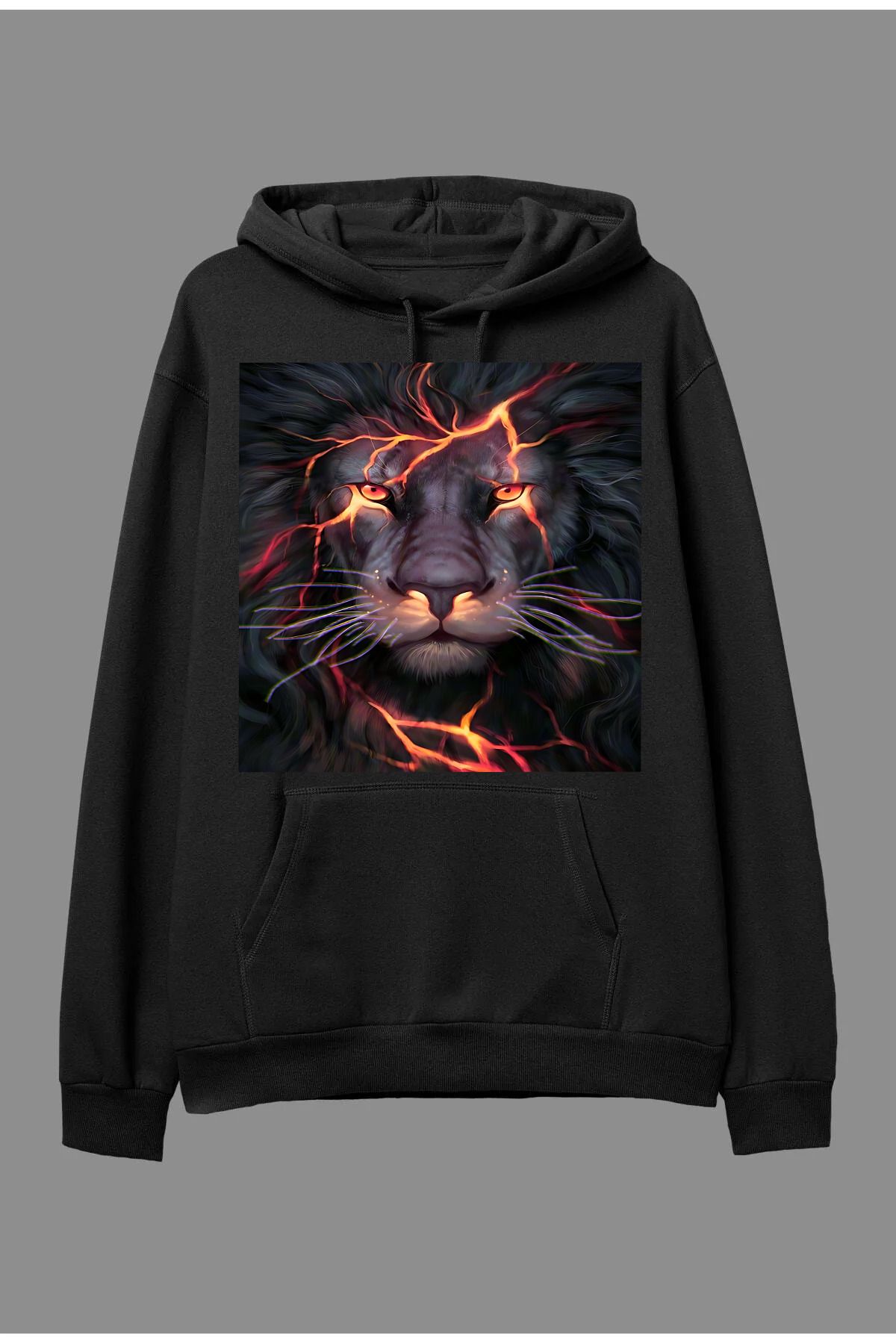 Pisa Art HOODED SWEATSHIRT WITH LION DESIGN Trendyol