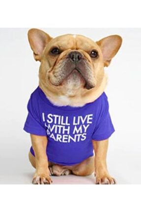 'ı Still I Still Live With My Parents' - 'halen Ailemle Yaşıyorum' - Köpek T-shirt Saks Mavi 214PTSHSTILLsaksmavi