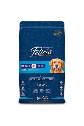 felicia somonlu yetiskin kedi mamasi 12