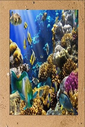 Mavi Akvaryum Balıklar Deniz 3d Desenli Banyo Plaj Havlusu Ossoplajhavl9