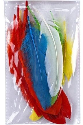 Renkli Kuş Tüyü 5184