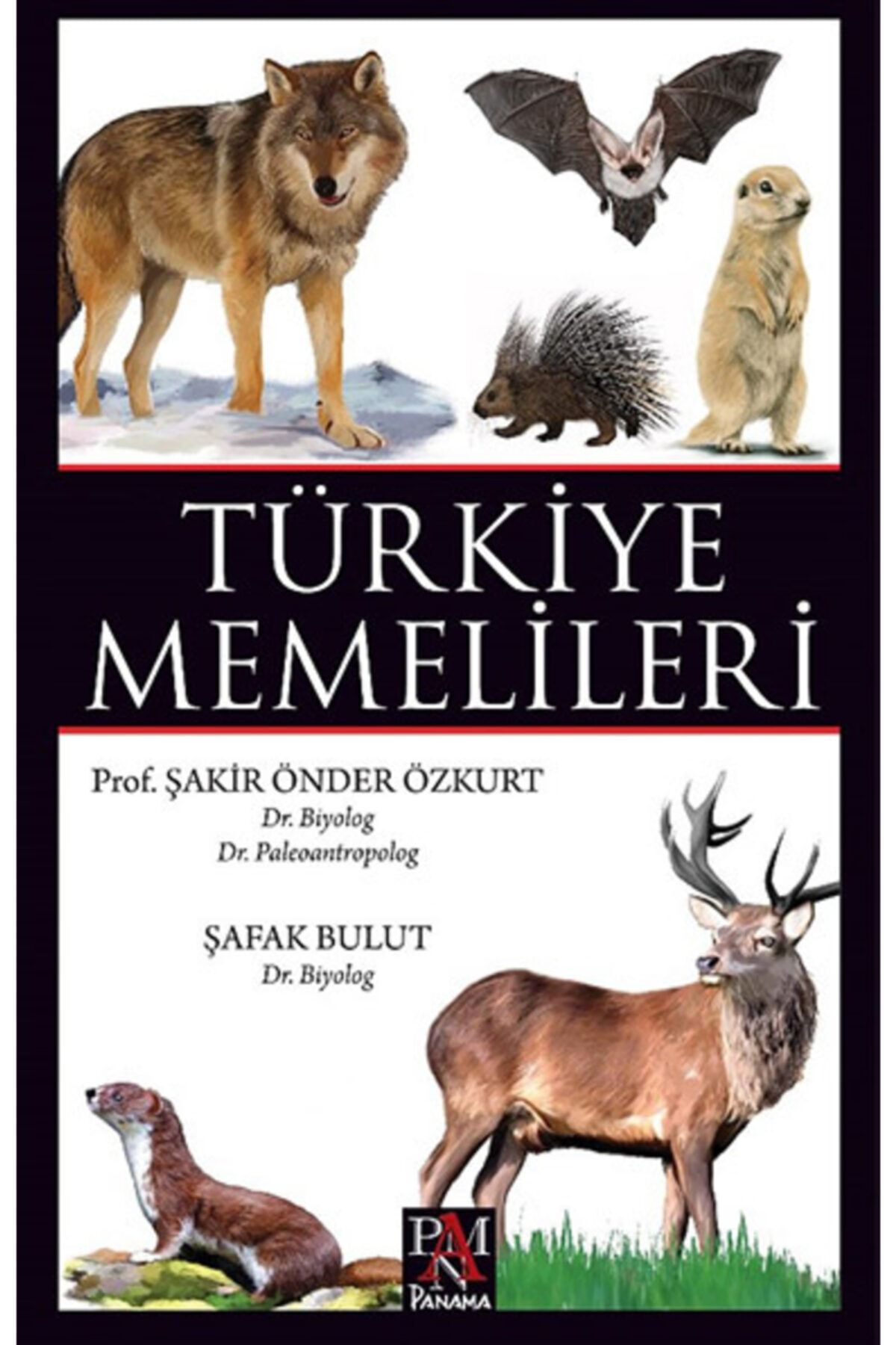 Panama Yayıncılık Türkiye Memelileri - Prof. Dr. Şakir Önder Özkurt, Dr. Şafak Bulut - 2-9786057739575