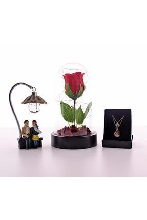 Işıklı Aşıklar Biblo Zirkon Taşlı Kolye ve Mika Fanus İçinde Led Gül Sevgililer Günü Seti AS-3139878-1996