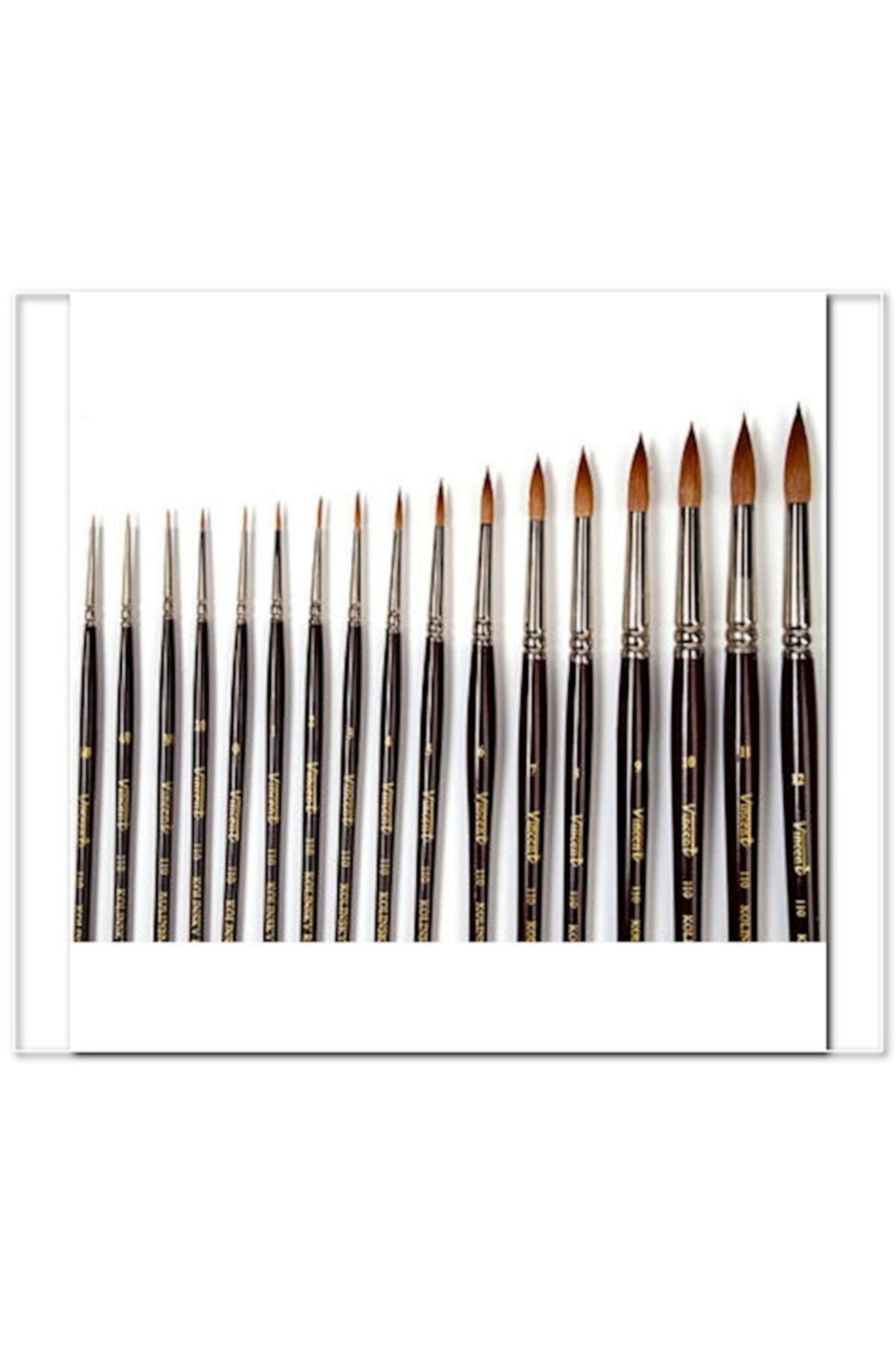 Bigpoint Alex College 245/4 Fırça