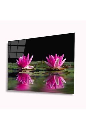 Lotus Çiçeği Cam Tablo 4mm Dayanıklı Temperli Cam GLASSQX5189