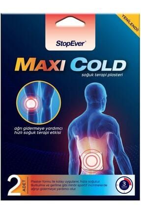 Maxi Cold Soğuk Terapi Plasteri 2'li MSK0000087