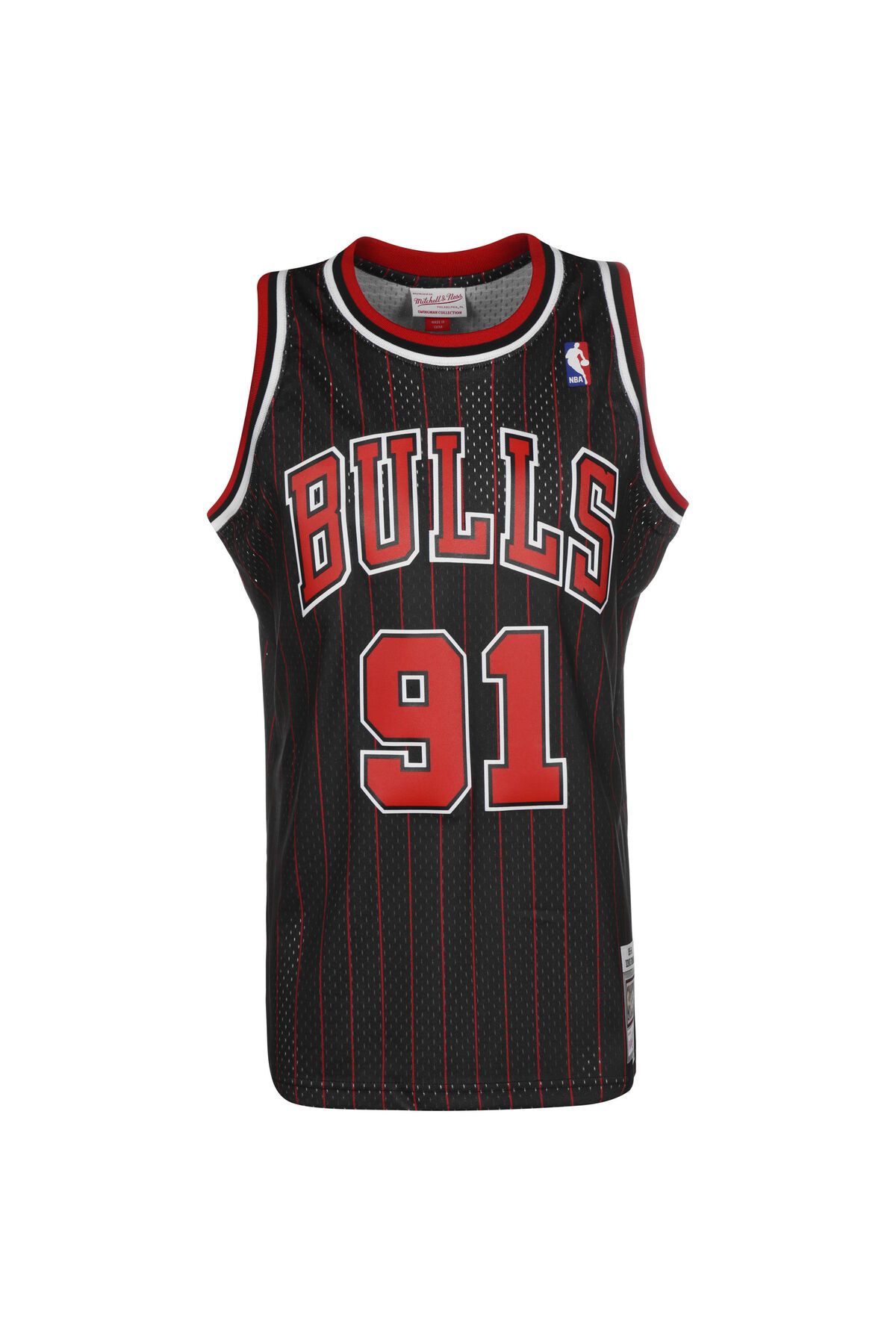 Dennis rodman on sale swingman