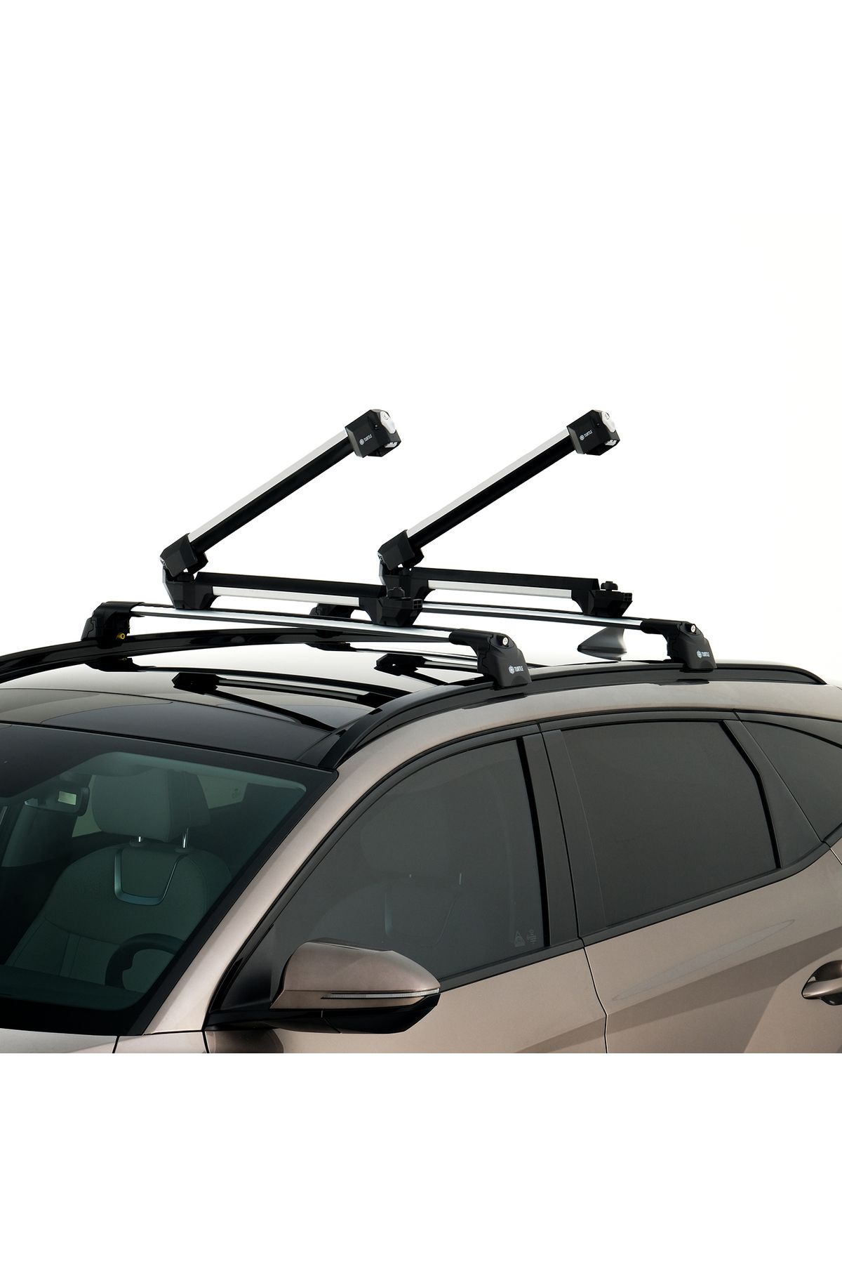 Turtle-Ski Carrier Gray Apex 4 4