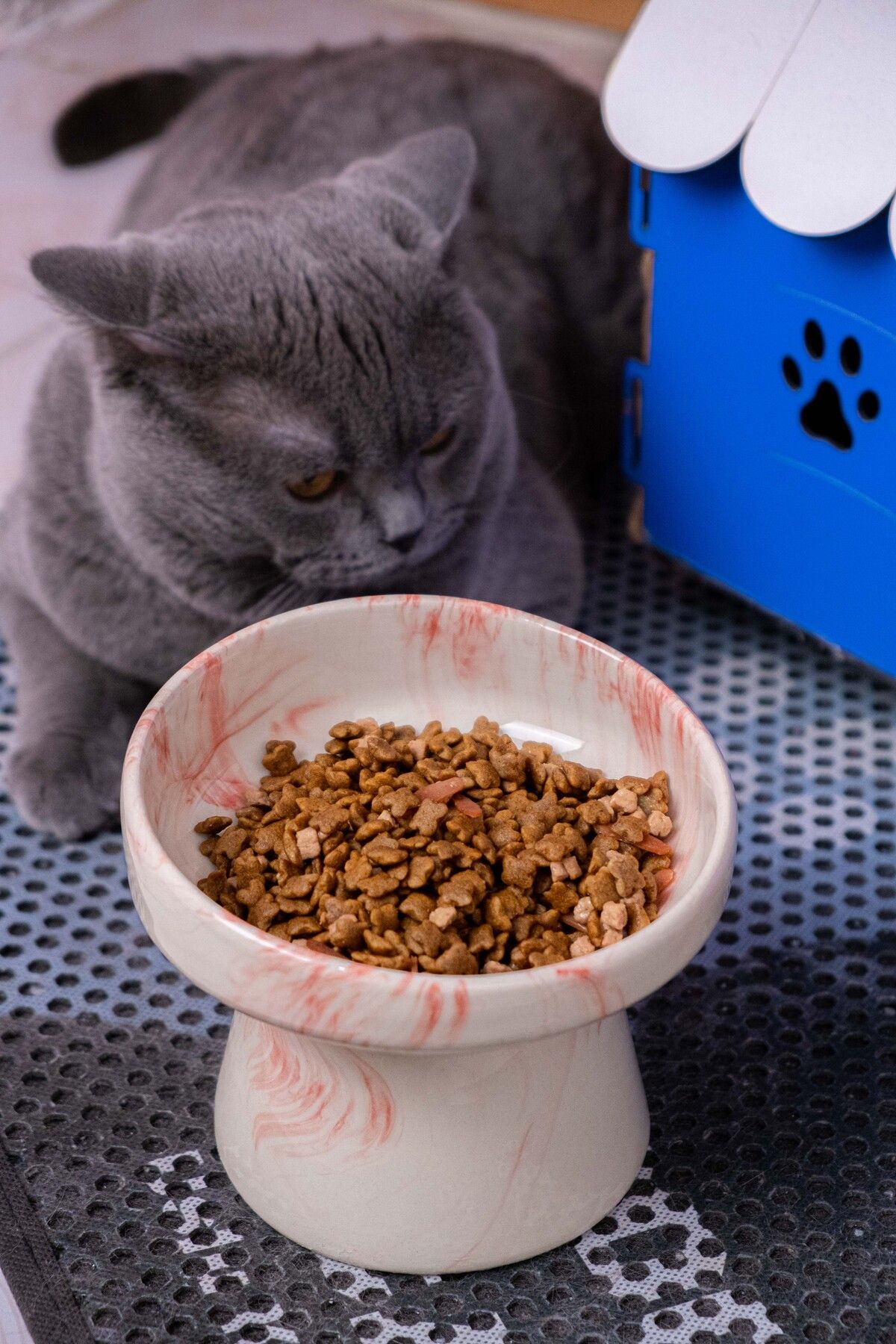 coffeenoir Handmade Ceramic Red Marbled Cat Dog Food Water Bowl
