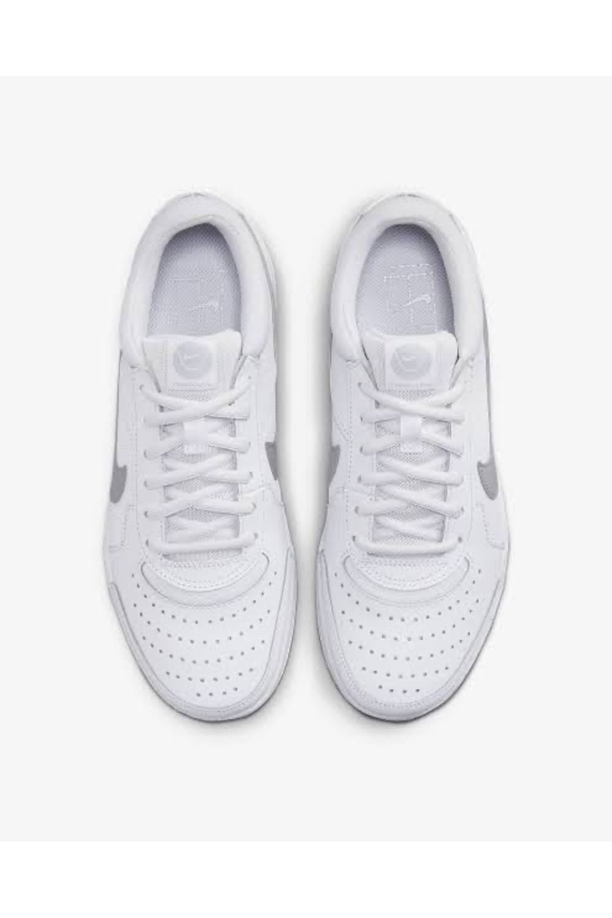 Dv3279 on sale