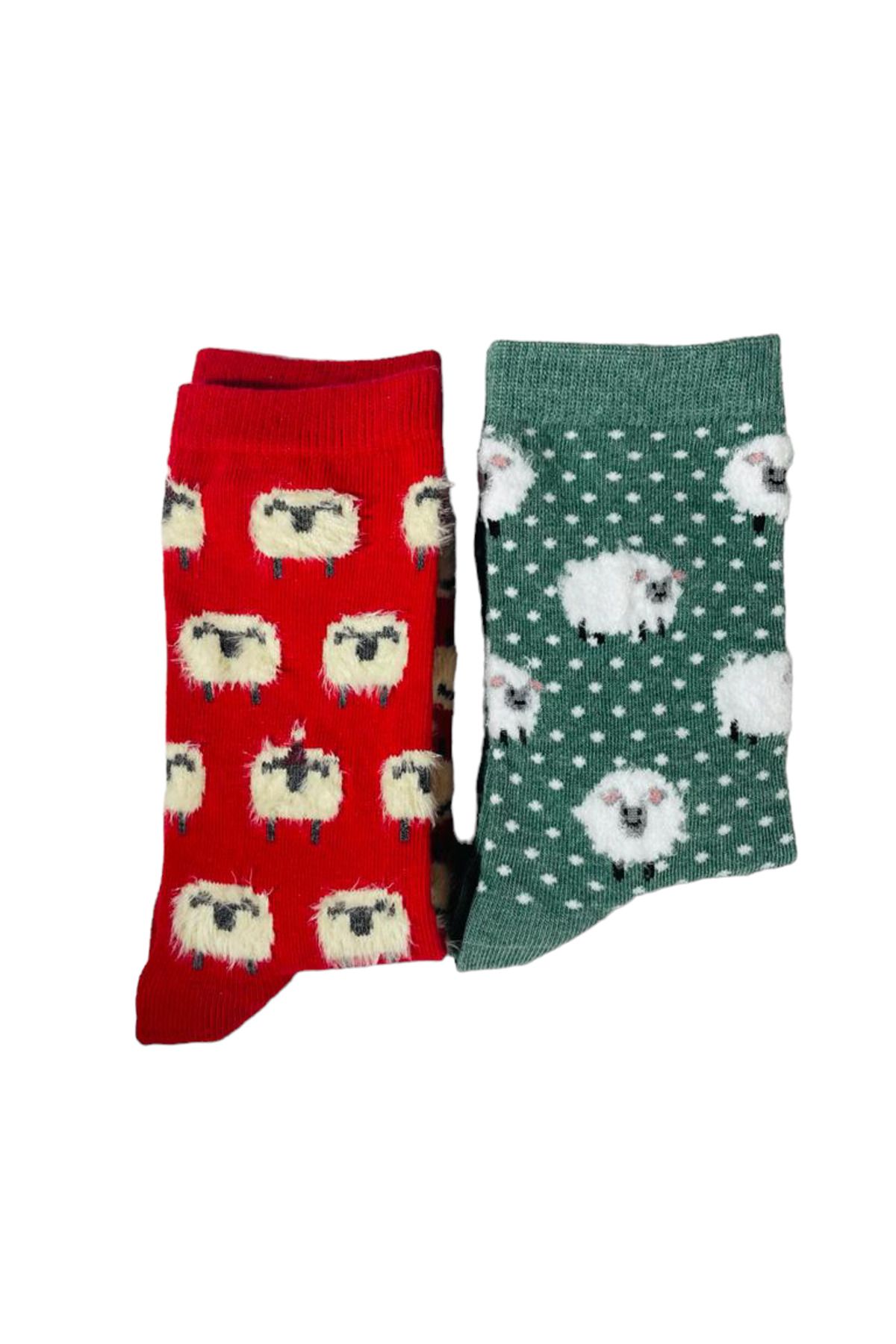 FAT FACE-Plush detailed gift fatface socks 5
