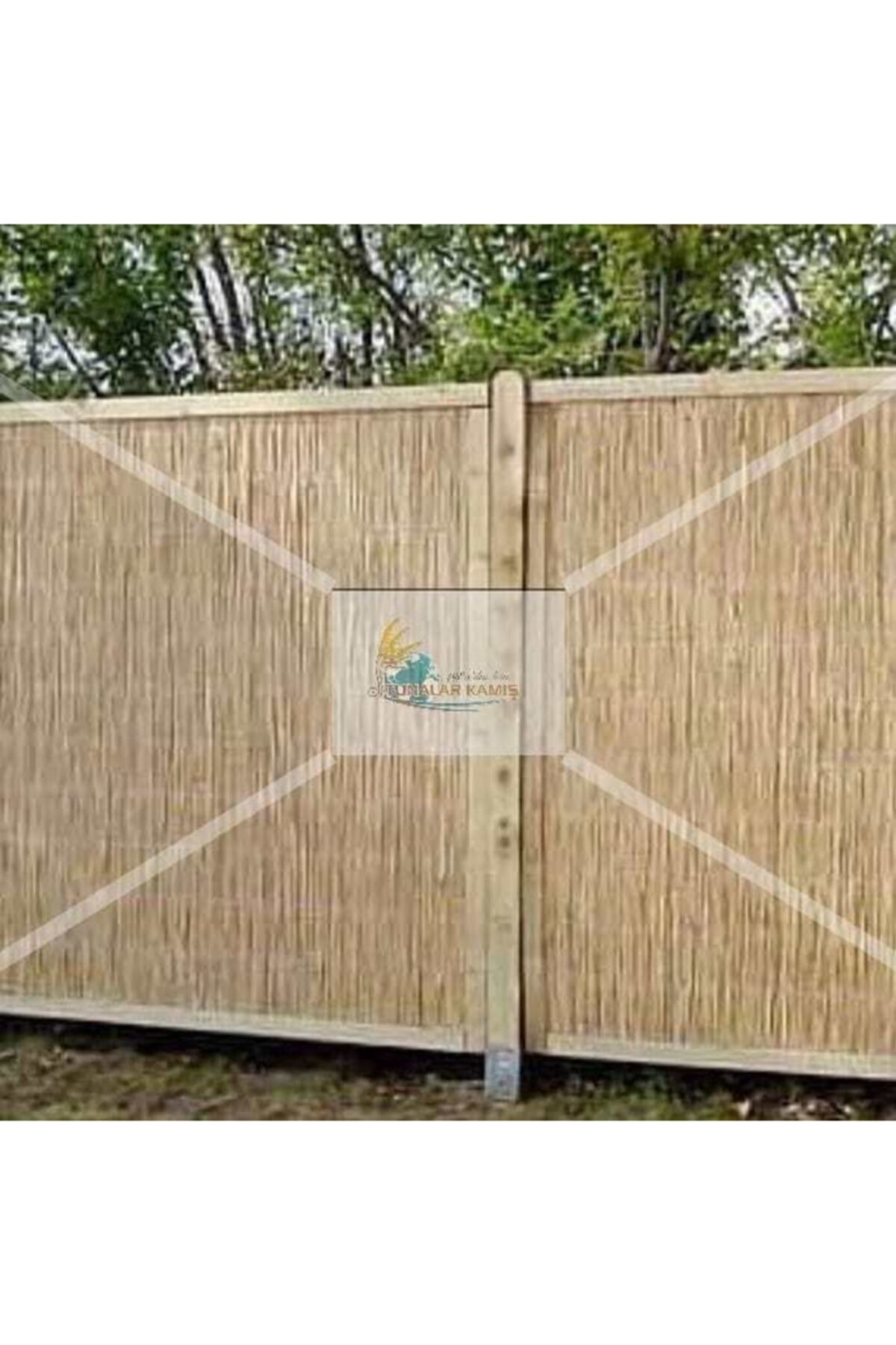 Kamış 1 Metre Enm 6 Metre Uzun Luk 2