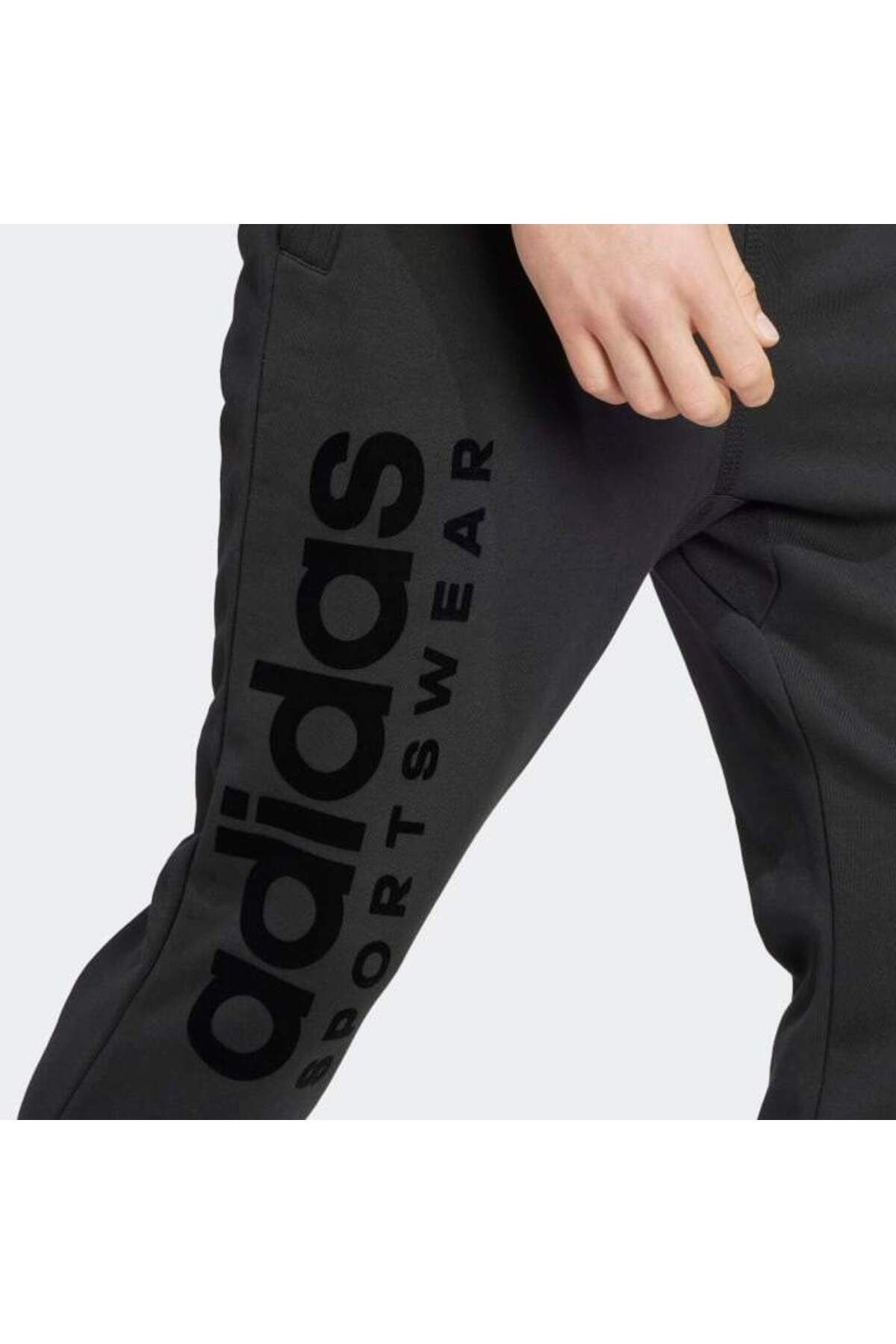 Adidas sales blackbird sweatpants
