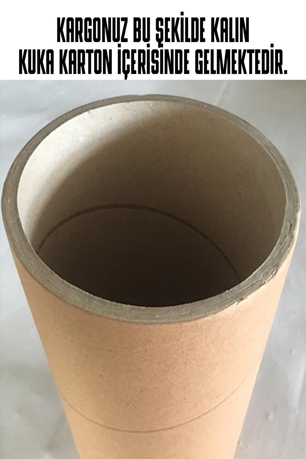 YSM STORE 17 Model New Design Auto Rear Window Sticker English White