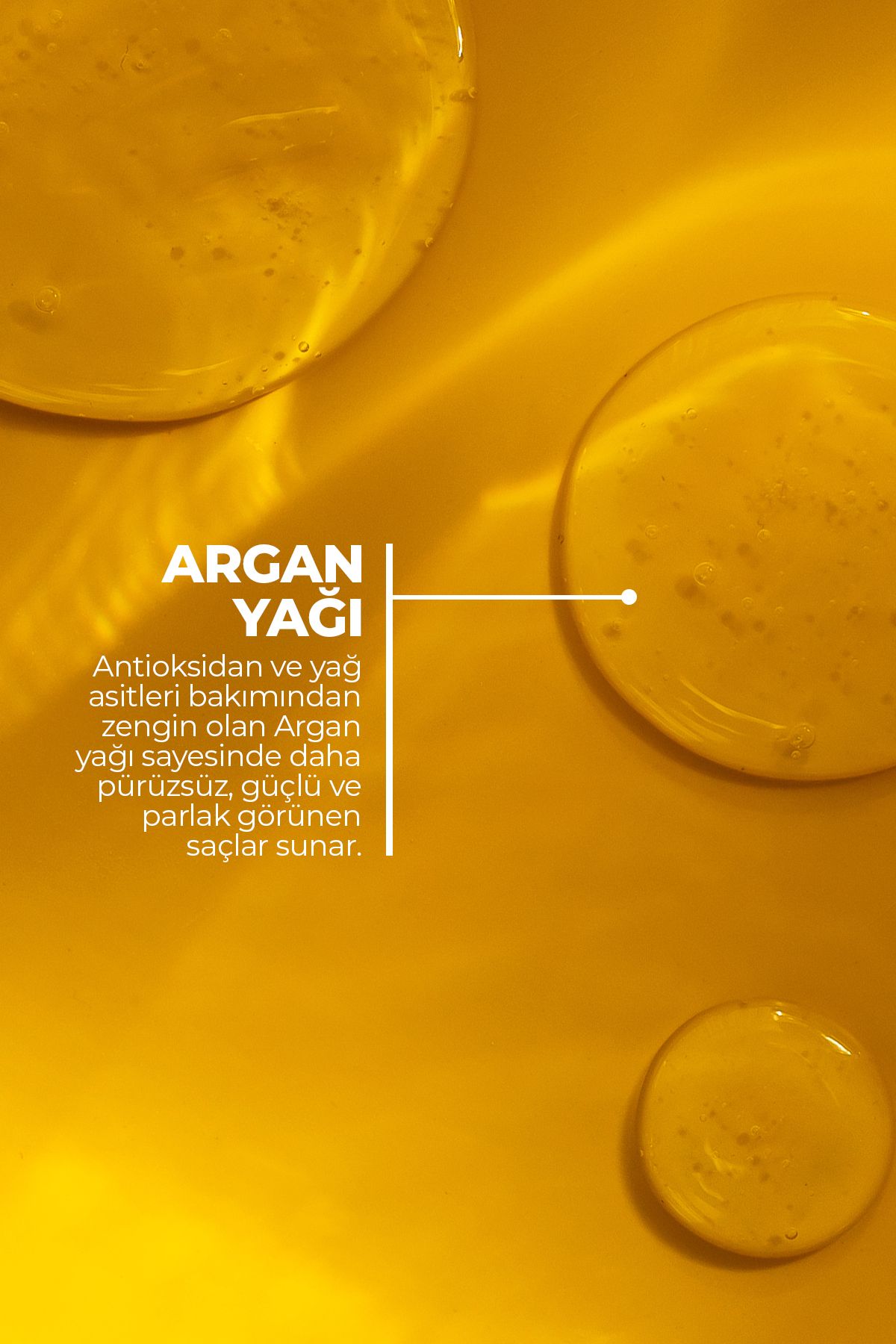 Argan Rejuvenating Shampoo Sülfatsız Onarıcı Şampuan Kuru ve İşlem Görmüş Saç Bakımı 350ml - 3