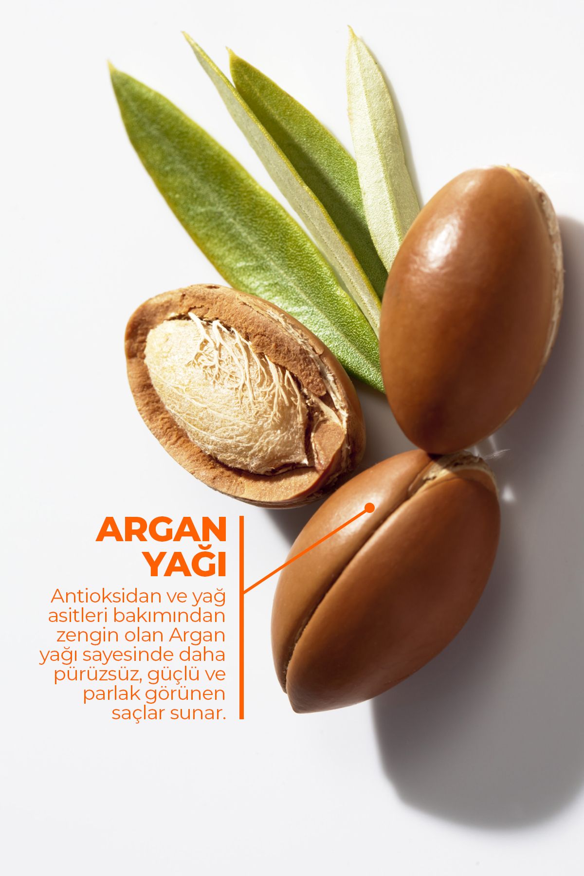 Argan Rejuvenating Shampoo Sülfatsız Onarıcı Şampuan Kuru ve İşlem Görmüş Saç Bakımı 350ml - 4