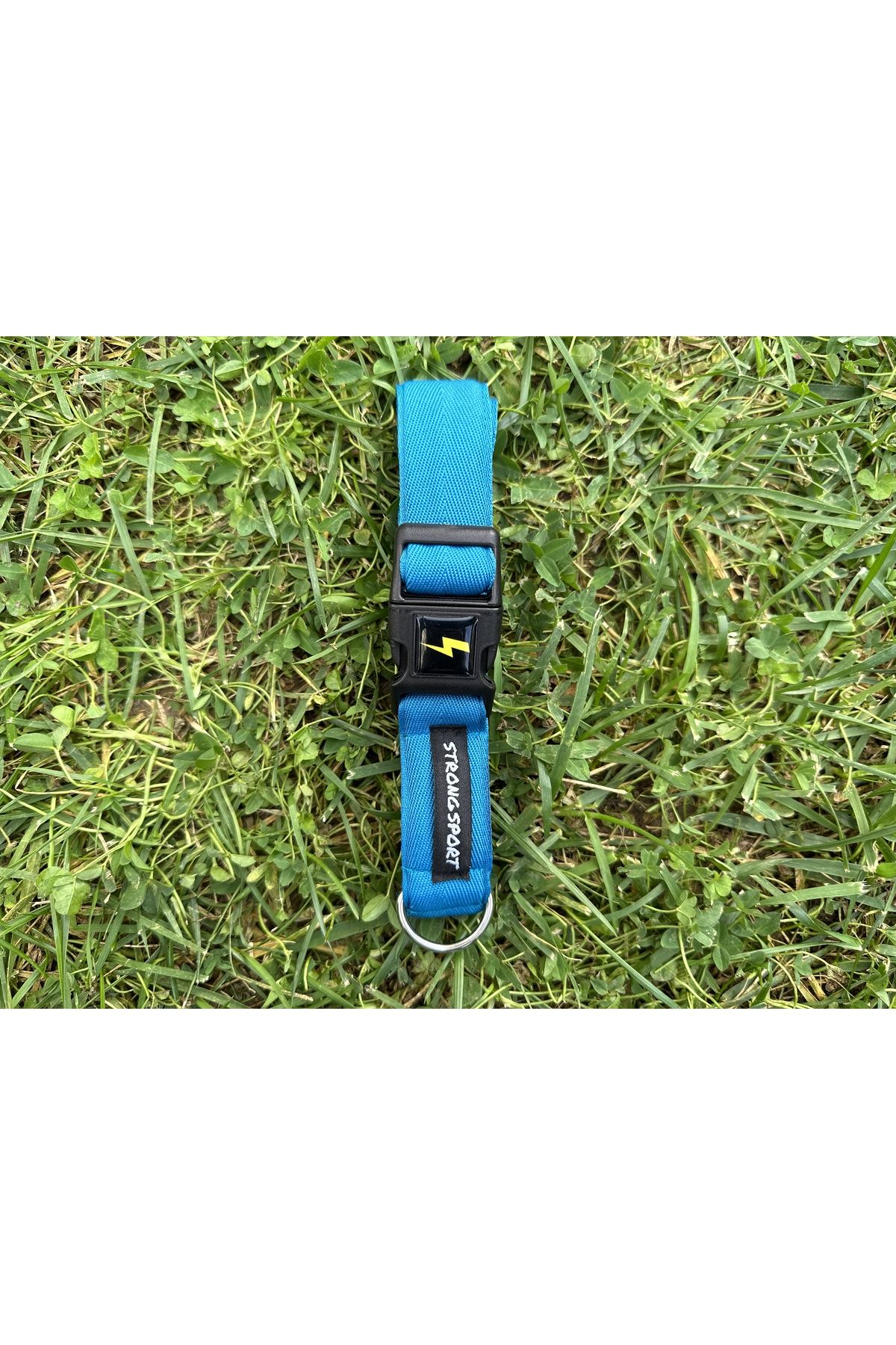 Dark blue dog cheap collar