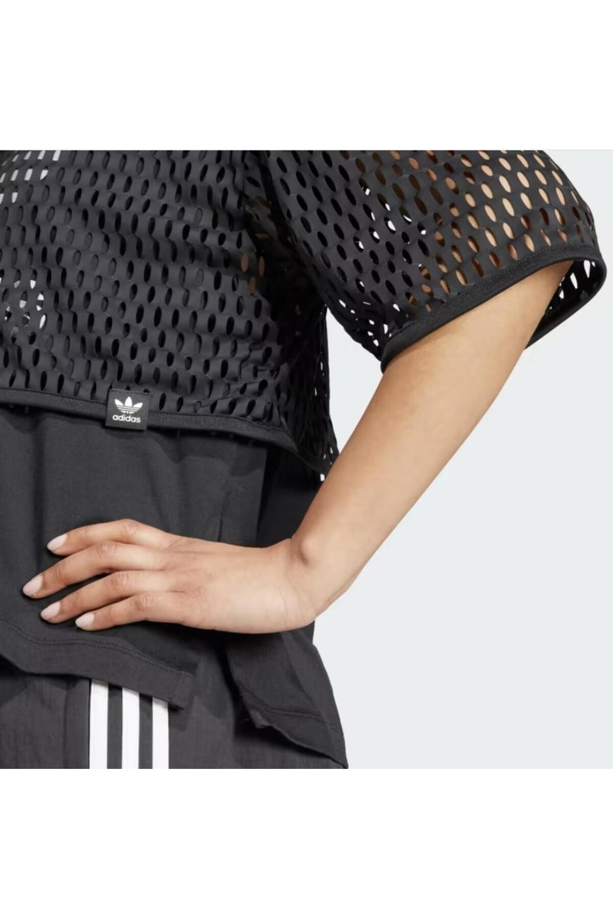 Large logo outlet tee adidas