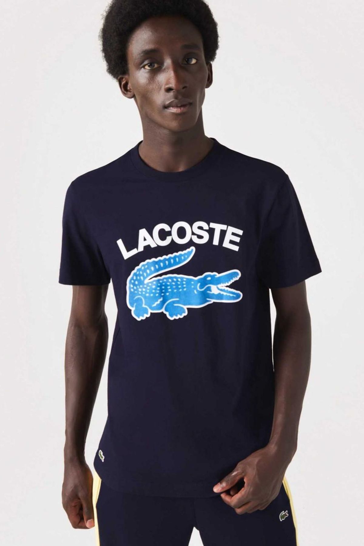 Navy lacoste store